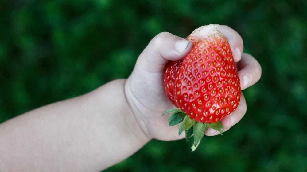 Diversification mené par l’enfant
